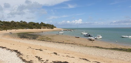 Plage-de-la-Patache-île-de-Ré