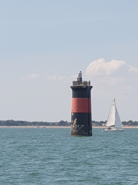 La balise du Lavardin est un amer maritime situé dans le Pertuis d'Antioche, un passage côtier en Charente-Maritime, entre l'île de Ré et l'île d'Oléron. Ce pertuis est connu pour ses courants puissants et ses nombreux dangers pour la navigation, tels que les bancs de sable et les récifs. Les amers, comme la balise du Lavardin, servent de repères visuels pour aider les navigateurs à éviter ces obstacles et à se repérer en mer.La balise du Lavardin est particulièrement importante pour les bateaux empruntant cette route maritime fréquentée. Elle est souvent citée parmi les points de référence essentiels pour le balisage maritime dans cette région. Le Pertuis d'Antioche est historiquement un point stratégique pour les ports de La Rochelle et Rochefort, donc ces repères contribuent à sécuriser l'accès à ces ports.La région est également appréciée des plaisanciers pour sa beauté naturelle, mais la navigation y reste complexe à cause des variations de marées et des conditions météorologiques. Balise-du-Lavardin-Pertuis-Antioche.jpg