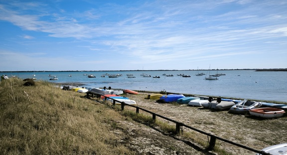 Marais du Grouin
